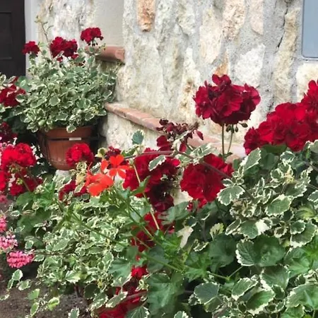 La Casetta Di Elena Apartment Lamezia Terme